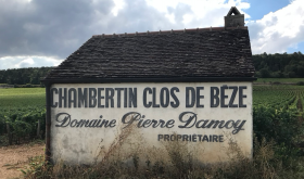 Close de Beze in September 2020 by Matthew Hayes