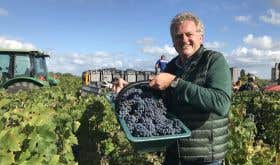 Gavin Quinney with 2019 Beychevelle Cab Sauv grapes in a St-Julien vineyard