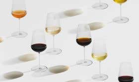 Jancis Robinson x Richard Brendon glasses with different wines