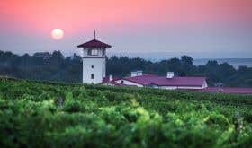 Lefkadia Valley winery in Krasnodar, Russia