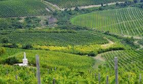 Nagy-Eged vineyard in Eger