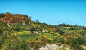 Le Strette's Pasinot vineyard of Nascetta in Piemonte