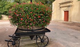 Geraniums in old basket press outside Chambolle-Musigny church