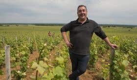 Sebastien Odoul in his Charmes-Chambertin vines