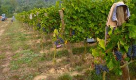 Sota el Angels in Empordà