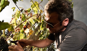 Alessandro Mori of Il Marroneto