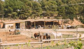 The farm at Gramona, Catalunya