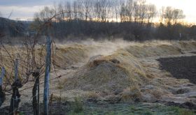 Biodynamic compost by Robert Herbst