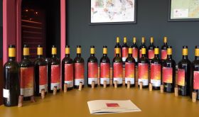 Bibi Graetz's Colore vertical bottles