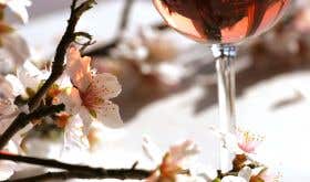 Languedoc almond blossom and rose wine