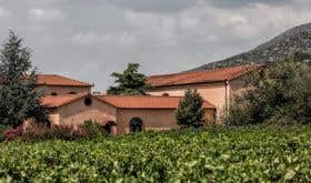 Dougos winery Rapsani