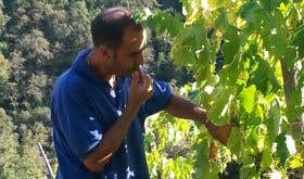 Maurizio Alongi in his Chianti Classico vineyard