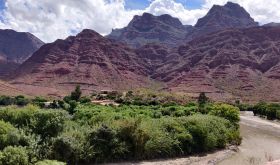 WWC21 Gowda N - Overlooking the San Roque vineyard