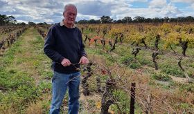 WWC21 Hollander M - Viv Thompson, owner of Best's