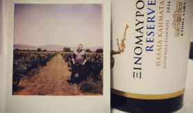 WWC21 Kyriakidis S - Angelos Iatridis in Barba Yannis plot and Vieilles Vignes Reserve Xinomavro