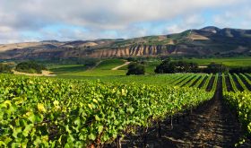 WWC21 Van Antwerp B - Sanford and Benedict California 1