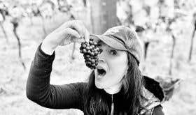 WWC21 de Gentile-Williams K - Karen eating old-vine Breaky Bottom Seyval grapes