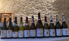 Rhone wines tasted chez Nutter 2021