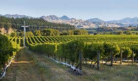 Awatere Valley via New Zealand Winegrowers