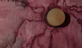 Bung in red wine barrel at Domaine Thenard in Burgundy