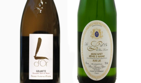 Two labels of Luneau Papin L d'Or Muscadet