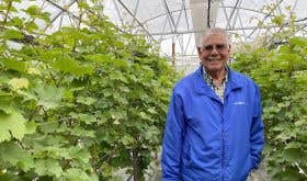 Mike Mosesian of Bell's Nursery