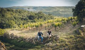 Nuno Ramilo and Jorge Mata