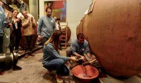 Tapping the amphora at Rocim