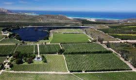 Iona wine farm in Elgin, South Africa