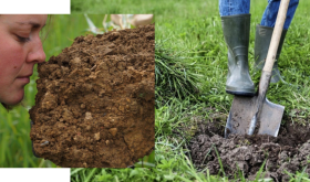 RVF our relationship with soil
