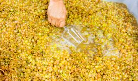 Heinrich skin-fermented white