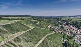 Felseneck vineyard in Bockenau in the Nahe, Weingut Schäfer-Frölich