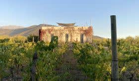 Antiyal winery and biodynamic vineyard