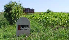 Piper-Heidsieck vineyard in Verneuil