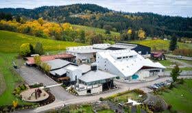 A to Z winery in Oregon