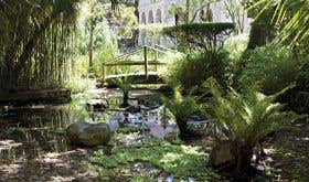 Cape Town Botanical Garden
