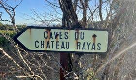 Ch Rayas sign