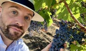 Richard Hemming in vineyard