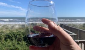 Glass of wine with sea in the background