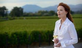 The Wine Bible - Karen MacNeil overlooking vineyard