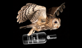 Tawny owl carrying bottle of tawny port