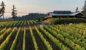 The JK Carriere estate sits surrounded by vines at the top of a hill in Oregon's Chehalem Mountains AVA. 