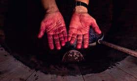 Genot-Boulanger - red-wine-soaked hands