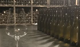 2021 tasting line-up at Dom Roulout in Meursault