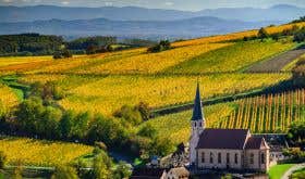 gettyimages-876985860-alsace-vineyards