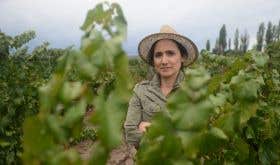 Dr Laura Catena in the vines