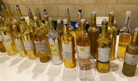 Sauternes samples courtesy of Bill Blatch of Bordeaux Gold