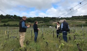 Journalists speaking with Charles Lachaux in his bio dynamically farmed vineyards in Burgundy