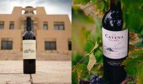 Two bottles shots of Catena Malbec and Catena Alta Malbec