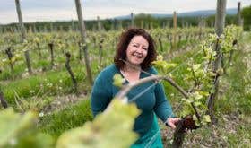 Wendy Outhwaite at Redfold Vineyards, May 2023 (credit Bronwen Batey)